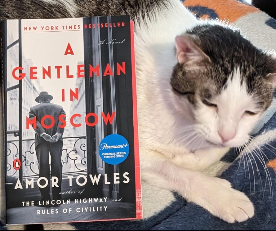 A photo of "A Gentleman in Moscow" by Amor Towles, leaning against a whit ecat with brown and black markings on his head and back. The cat's name is Ralph. He looks annoyed.